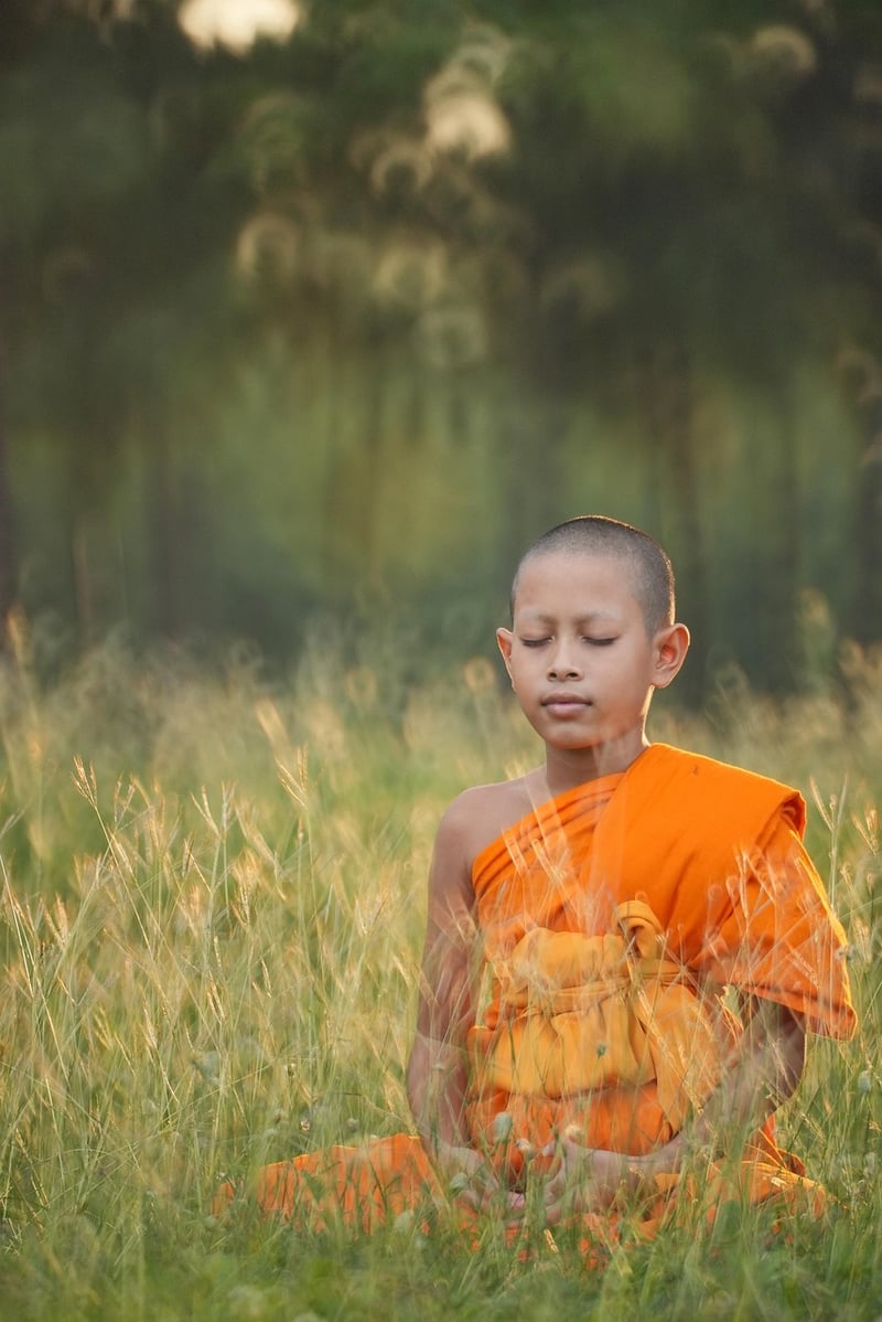 Silent Contemplation