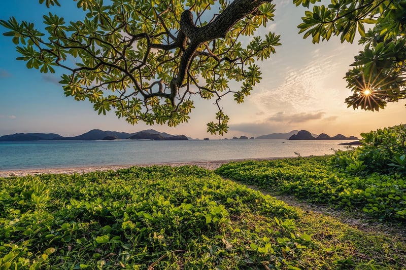 Sunrise over nature